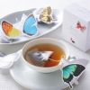 BUTTERFLY TEA(5種×2箱)  バタフライティー