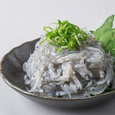 高知県安芸の生しらす100g（8袋セット）