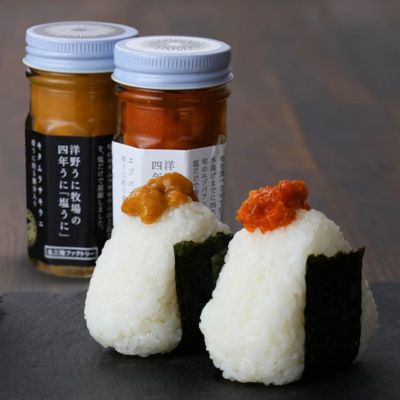 洋野うに牧場の四年うに「塩うに」2種（キタムラサキウニ・エゾバフンウニ）ギフトセット