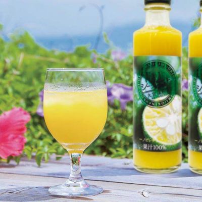 沖縄県大宜味村（おおぎみそん）産 青切シークヮーサー100％ジュース（270ml）2本セット