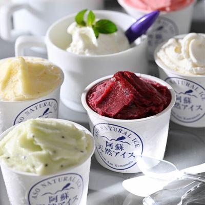 阿蘇天然アイス7種のジェラート